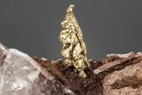 Stunning, Native Gold Formation in Quartz - Morocco #213548-1